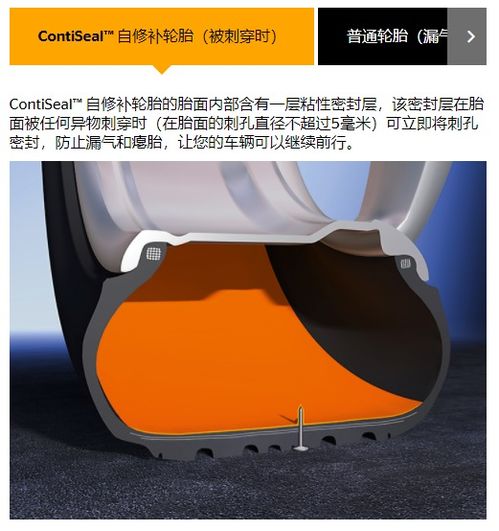 马牌自修补轮胎 vs 安睿驰zeta自修复安全轮胎 直面破胎器的终极安全之选